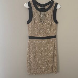 Max & Cleo Lace Mini Dress - Black and Tan